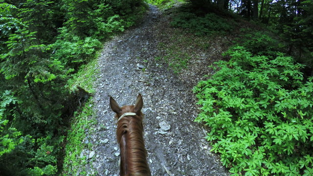 Astride on horse