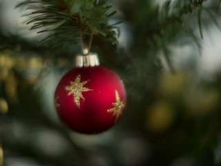 Beautiful glass Christmas Bauble on a tree - 6