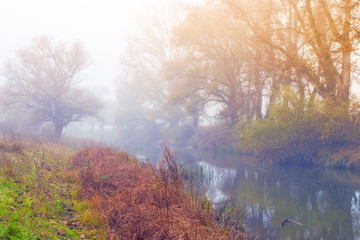 Fototapeta premium Beautiful foggy weather next to the river
