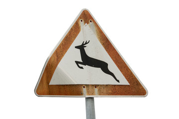 Verkehrsschild vorsicht wildwechsel