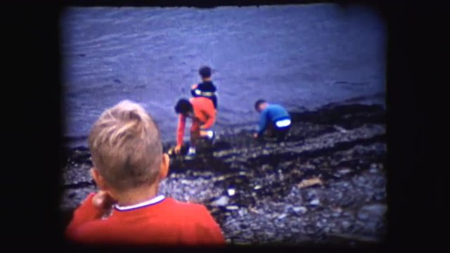 Children looking for shells on a Maine beach