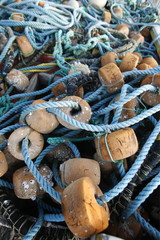 SOUTH AMERICA VENEZUELA ISLA MARGARITA MANZANILLO