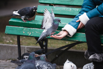 Fototapeta premium Girl feeding doves