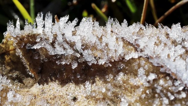 thaw