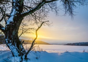 Winter-Landscape at sunset, HDR.
 Low Mountain Range, Germany, touristic region in the middle of...