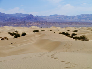 Fototapeta na wymiar Dunes at Death Valley 