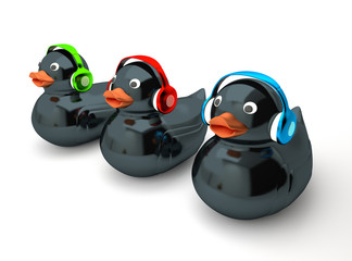 tThree Ducks listening to music