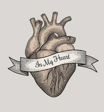 Engraving vector heart