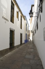 Fototapeta premium Narrow alley in Cordoba