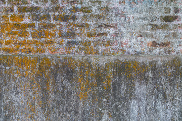 Weathered and aged grey concrete and brick wall with yellow moss.
