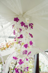 Decorative composition of orchids.