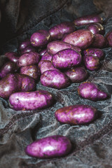 Beautiful purple potatoes are washed on gray fabric