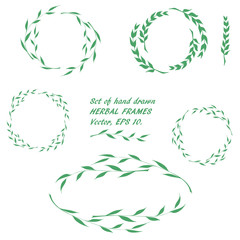 Set of hand drawn round floral framework of willow branches and blades in the doodle sketch style. Vector, EPS 10. © svetodara