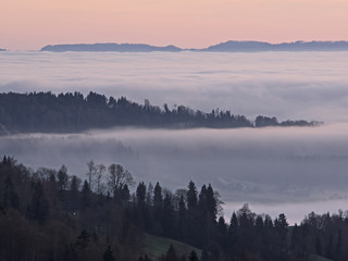 Misty morning, Nebelstimmung bei Sonnenaufgang