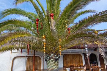 Christmas decorated palm tree