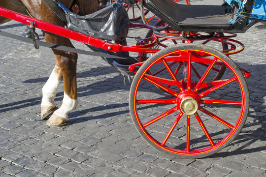 ruote di una carrozza e garretti di un cavallo a Roma in piazza San Pietro aspettando i turisti
