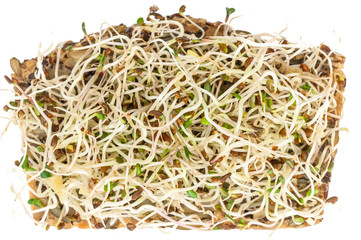 Körnerbrot mit Sprossen