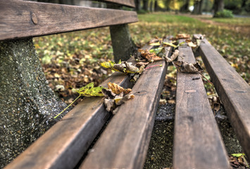 Fototapeta premium The park bench