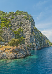 Naklejka premium rocky island with trees and turquoise blue waters