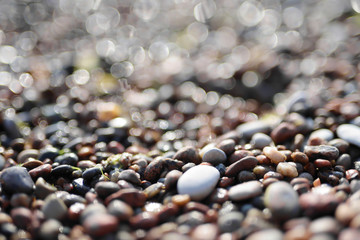 Sparkling pebbles on a beach