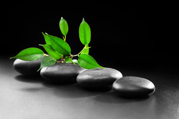 Obraz na płótnie Canvas Pebbles with leaf on black background