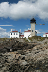 Fototapeta na wymiar Seagull Flies Near Beavertail Lighthouse Tower Over Unique Rock Formations in Rhode Island