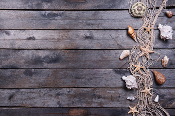 Fototapeta premium Seashells on brown wooden background