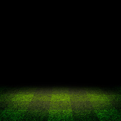 Soccer football grass field