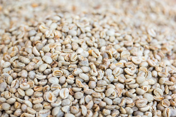 green coffee beans