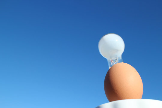 light bulb and brown egg in the blue sky