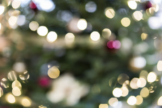 Christmas Tree Blurred Background