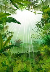 Forest landscape of  tropical background with sunrays