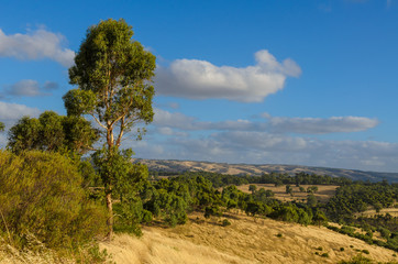 Cloudy Australian rural landscape with hills in background