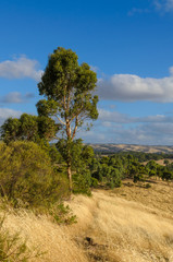 Cloudy Australian rural landscape with hills in background