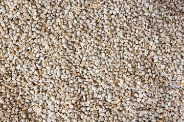 green coffee beans