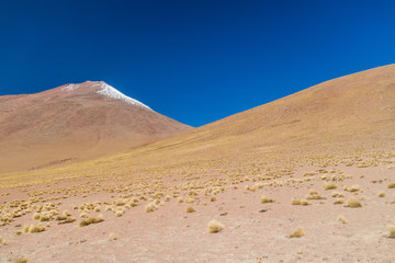 Bare landscape of bolivian Altiplano