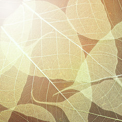 Yellow leaves texture background. Foliage decoration pattern.