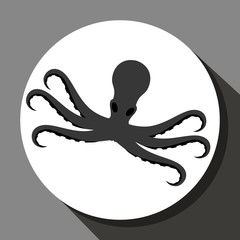 Sea food gastronomy 