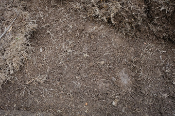 Fototapeta na wymiar yard work, preparation soil in garden with dry grass