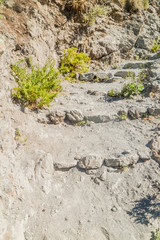 Path in Colca canyon, Peru