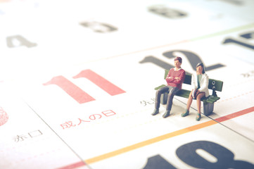 日本の成人式,カレンダーとミニチュア