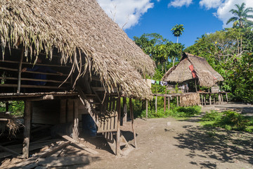 Fototapeta na wymiar Traditional houses in peruvian jungle