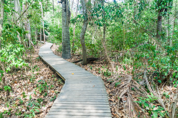 Obraz premium Trekking trail in Tayrona National Park, Colombia
