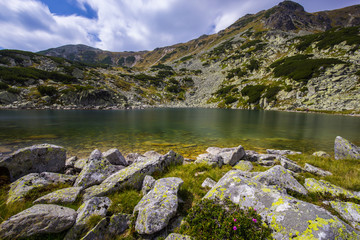 Summer scenery in the Transylvanian Alps
