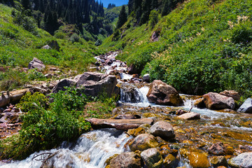Stormy mountain river with a stone in the foreground