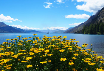 Fototapeta na wymiar Beautiful landscape New Zealand