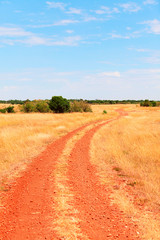 Fototapeta na wymiar Masai Mara landscape