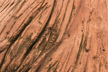 tree bark texture made from cement