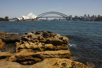 Naklejka premium Sydney Harbor Panorama