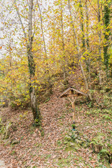 the cross of Jesus Christ